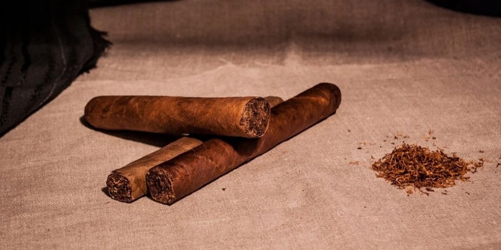 Who are the biggest cigar producers?