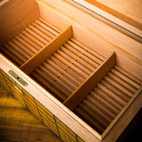 Collection cigar humidor